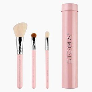 BNWOT Sigma - ESSENTIAL TRIO BRUSH SET - PINK